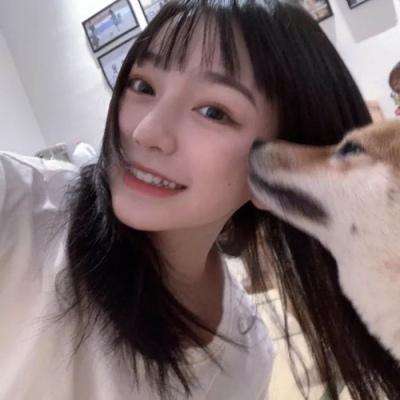 过山车模拟驾驶游戏下载